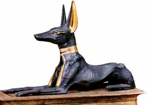 anubis_dog